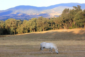 Yackandandah farm homestead
